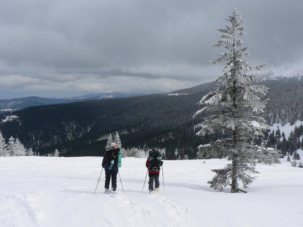 Горы Бескиды (Beskydy)