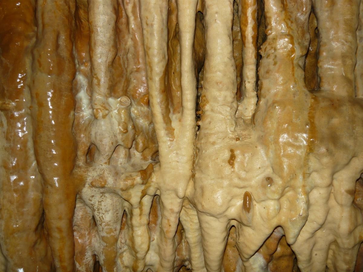 Конепрусские пещеры (Koněpruské jeskyně)