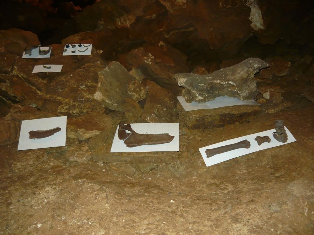 Кости, найденные в пещерах