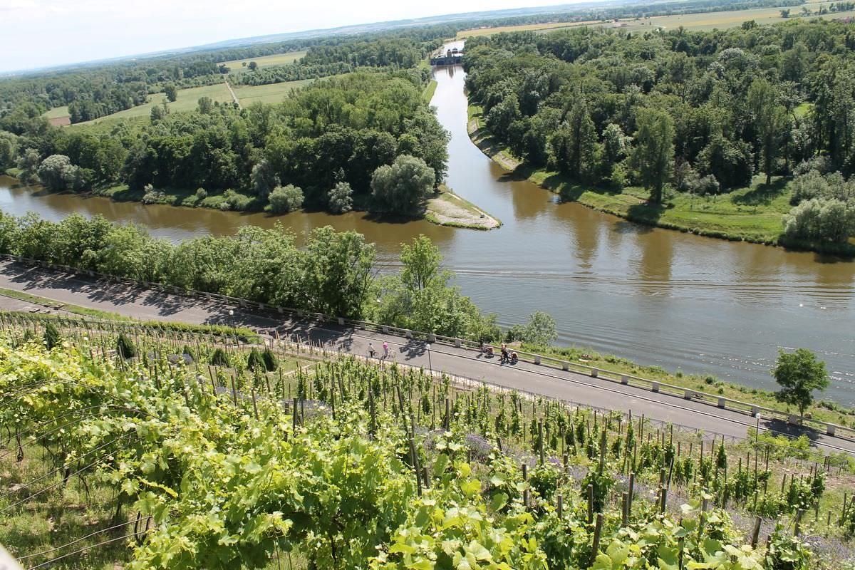 Вид с замка. Слияние рек Влтавы и Лабы (Эльбы)