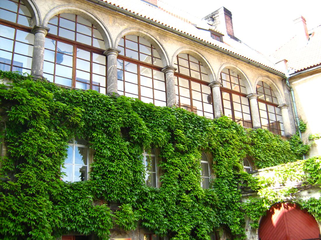 Замок Груба Скала (Zámek Hrubá Skála)