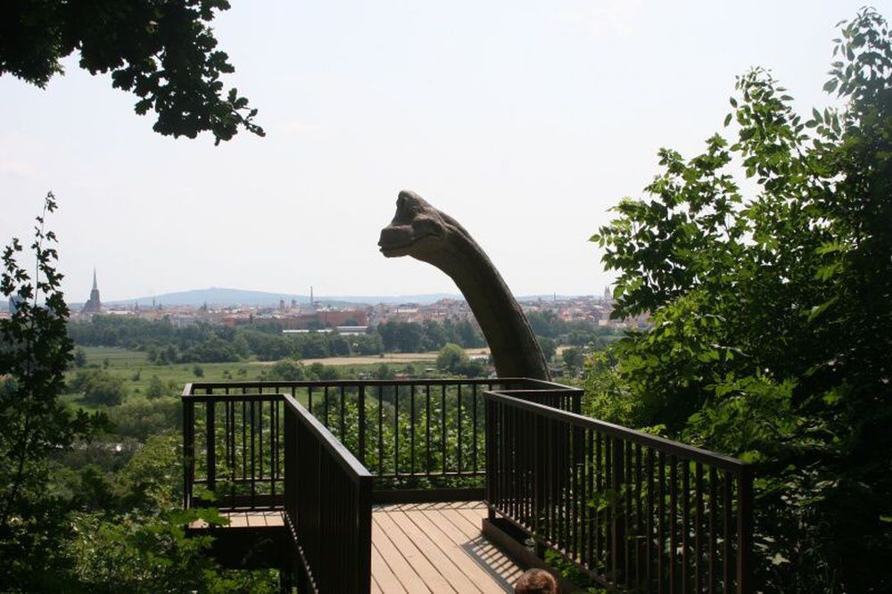 Пришелец из прошлого