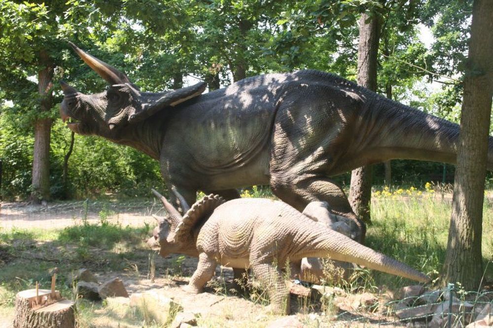 Обитатели Динопарка