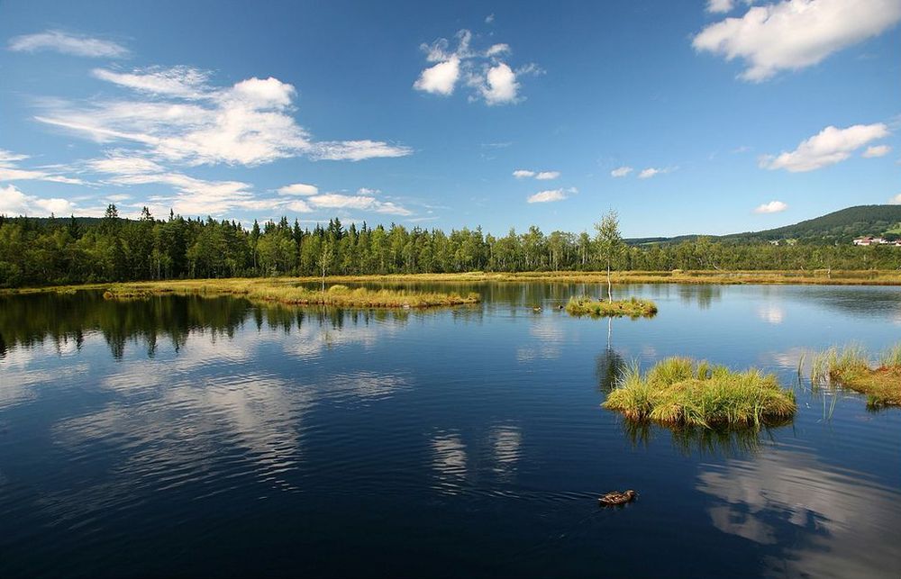 Национальный парк Шумава (Národní park Šumava) Чехия