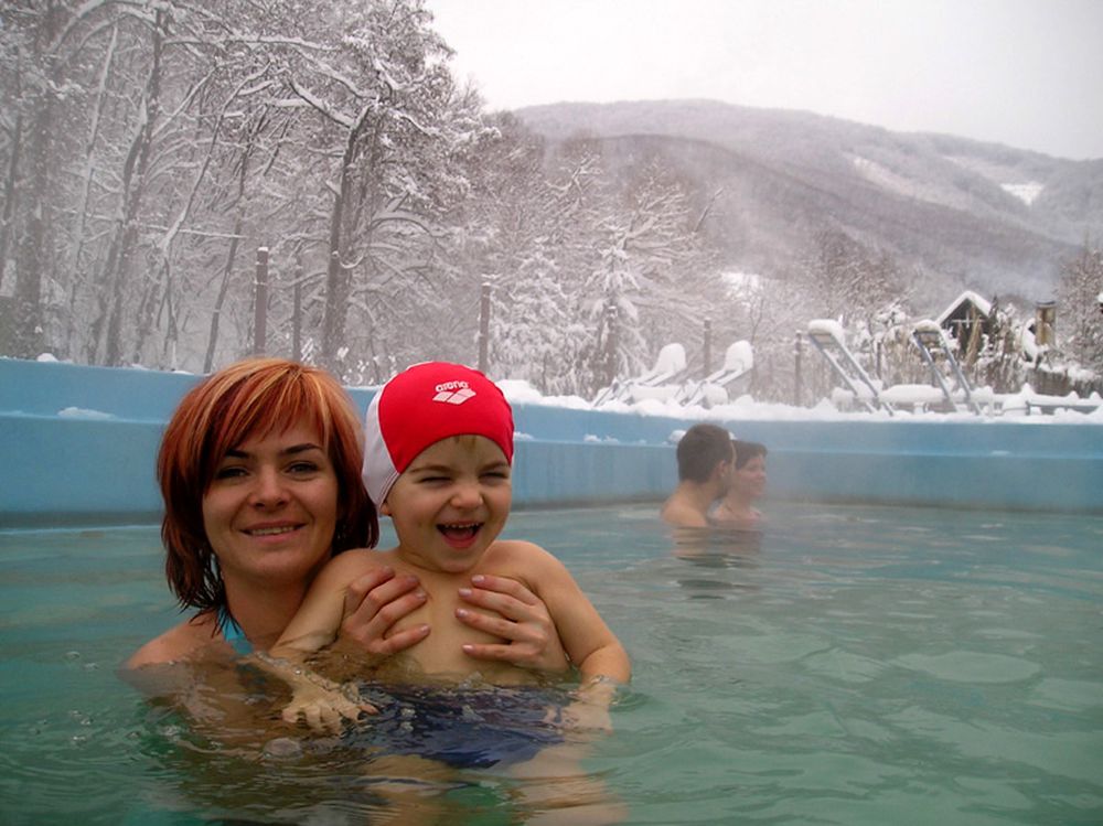 Теплице (Teplice)