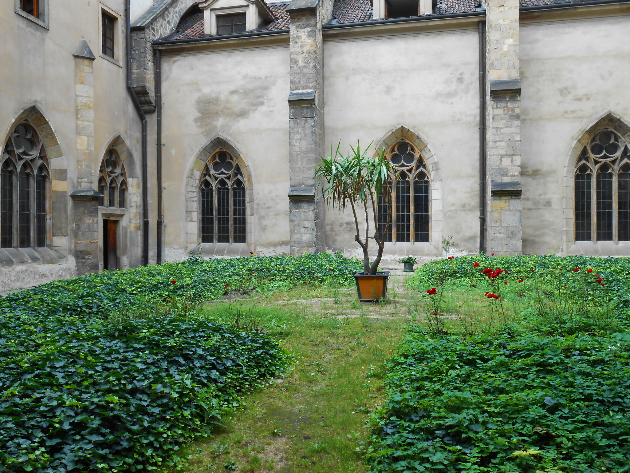 Райский сад