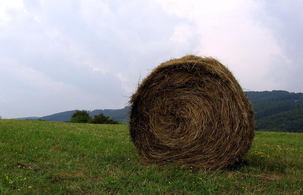 Белые Карпаты (Bílé Karpaty)