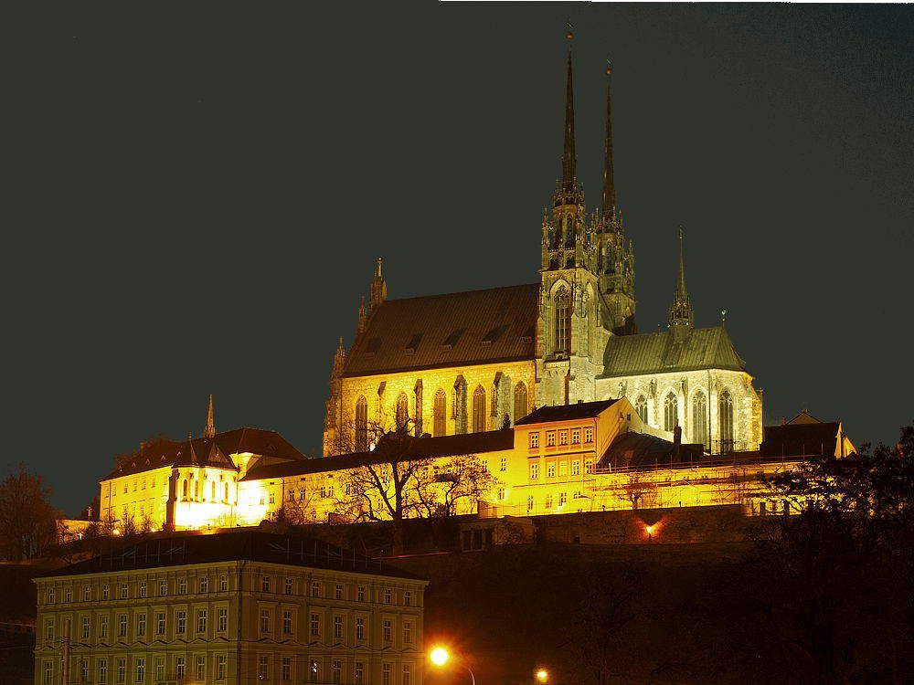 Собор Святых Петра и Павла в ночной подсветке