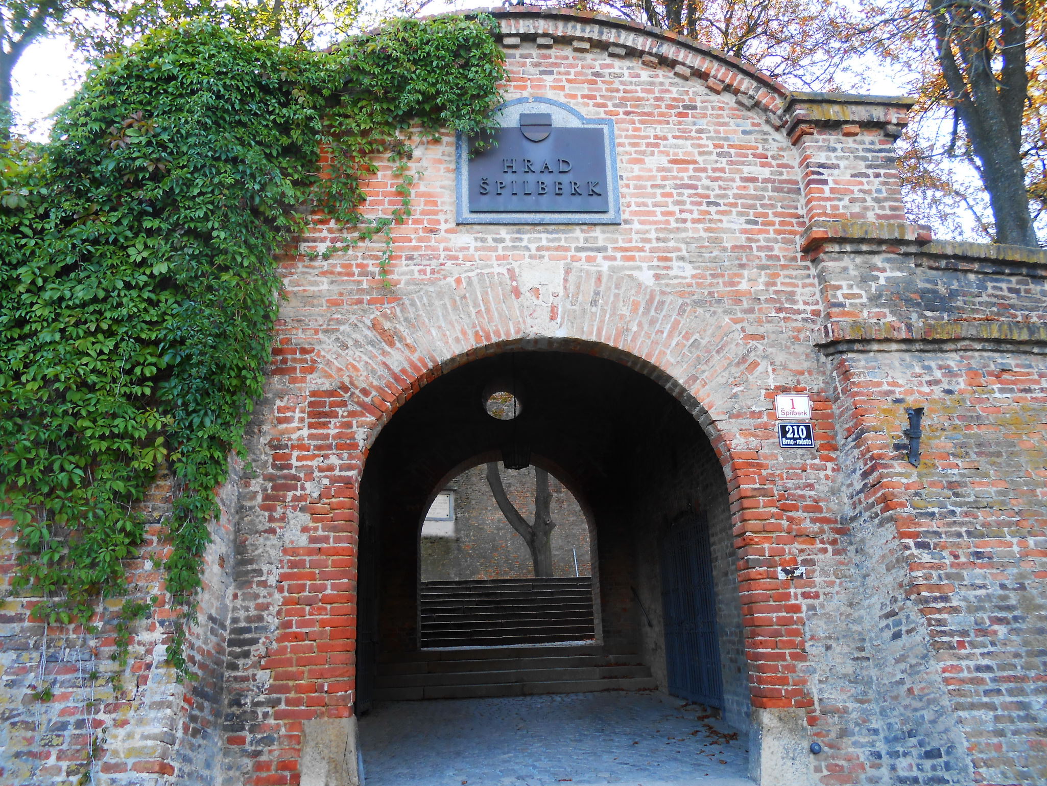 Маска для вливания чего-либо в рот уздника