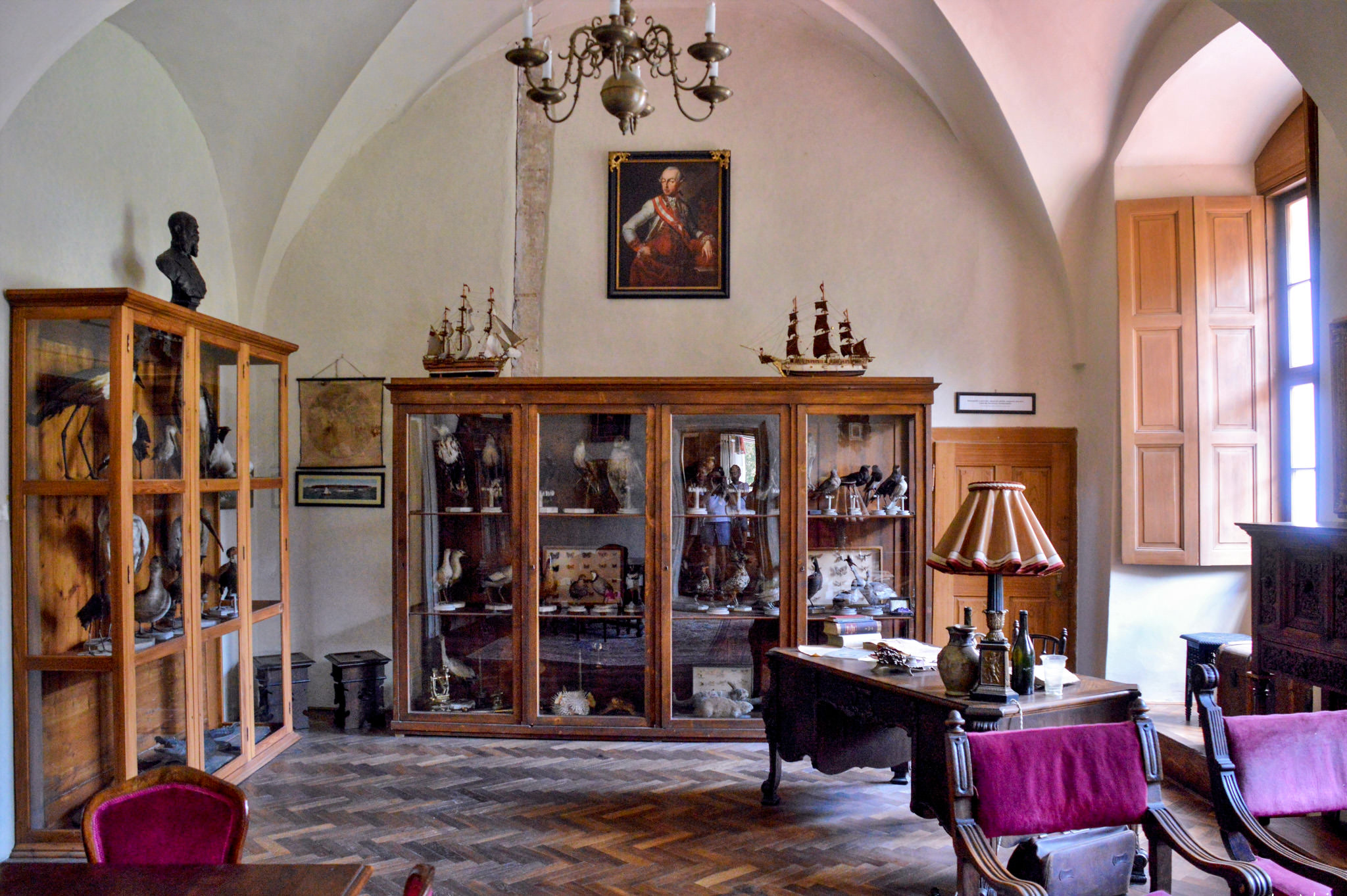 Чучела птиц