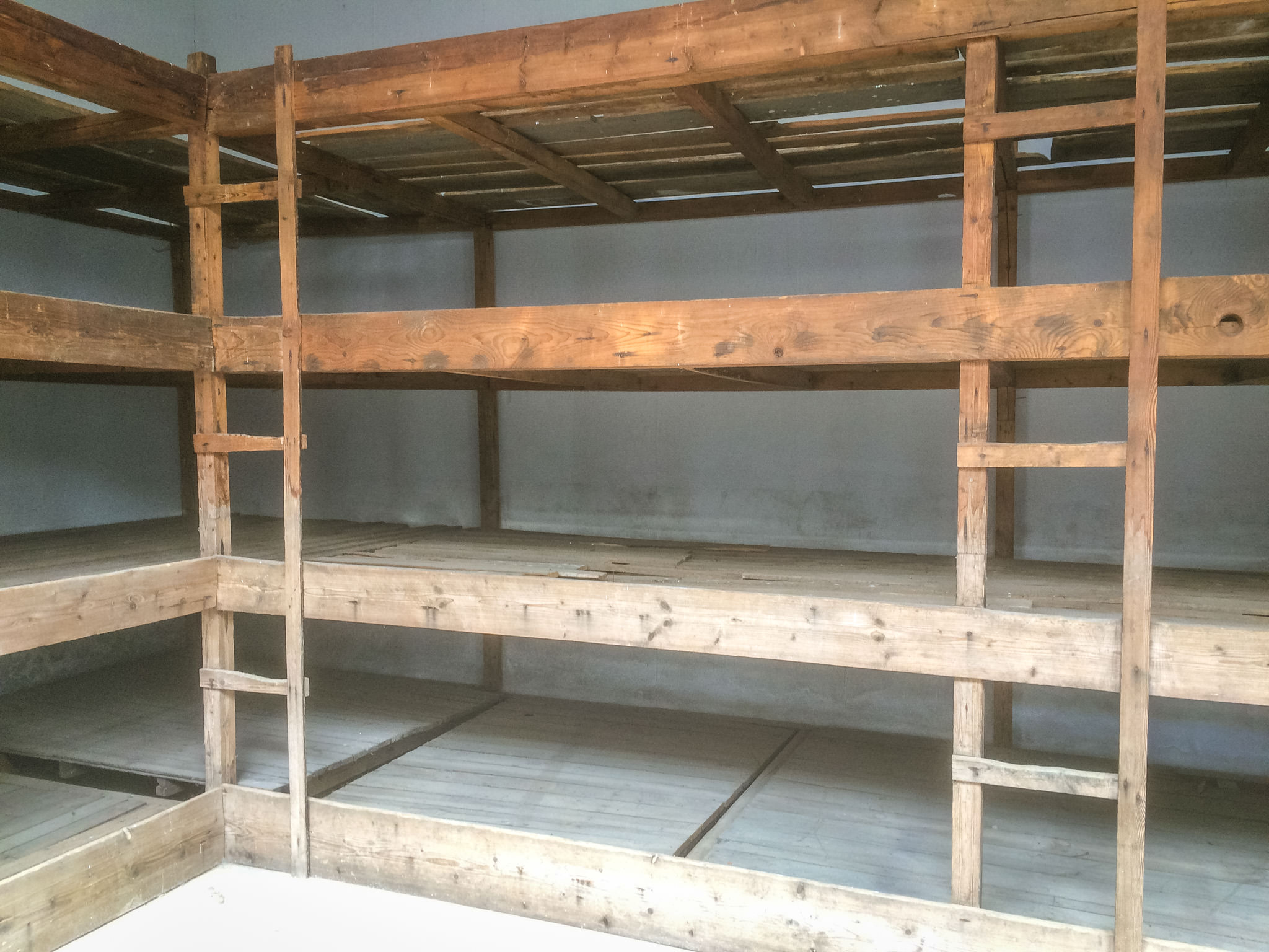 В камере лагеря