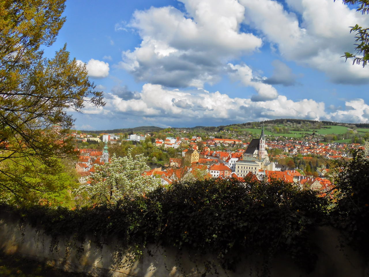 Вид города с парка