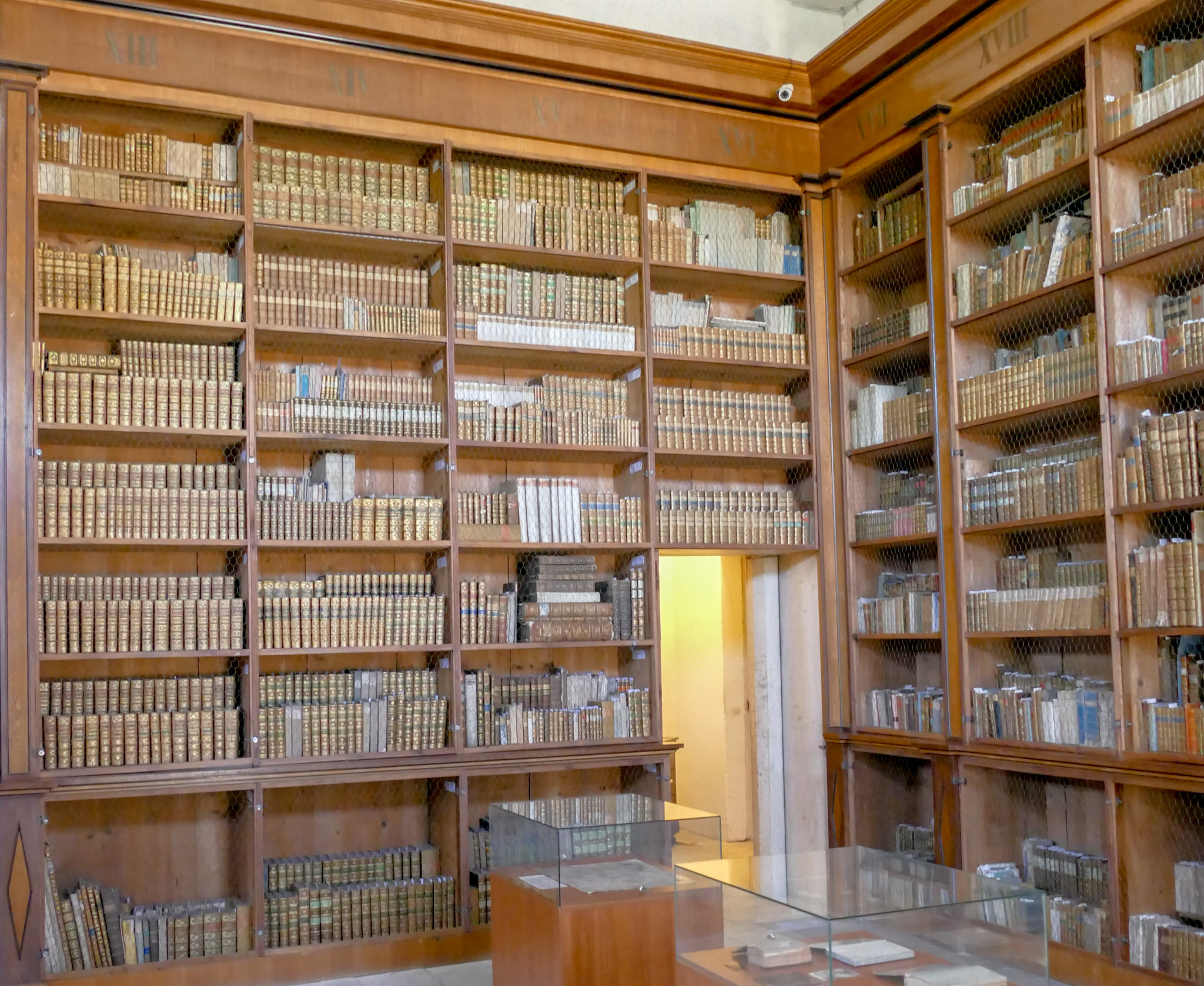 Библиотека