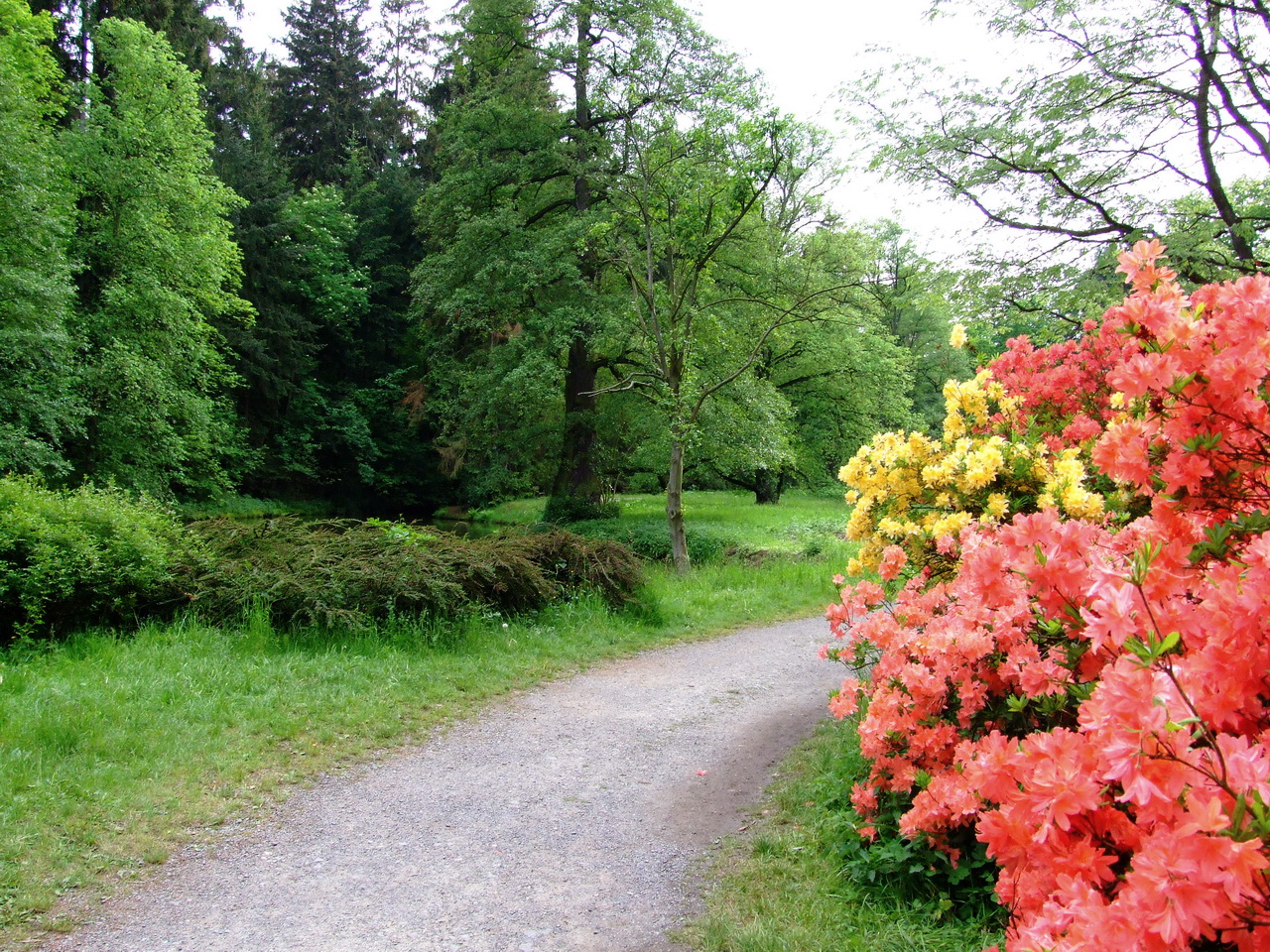 Дорожка в парке