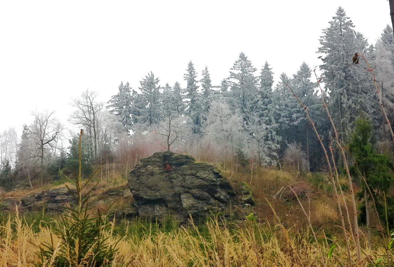 Суровая природа