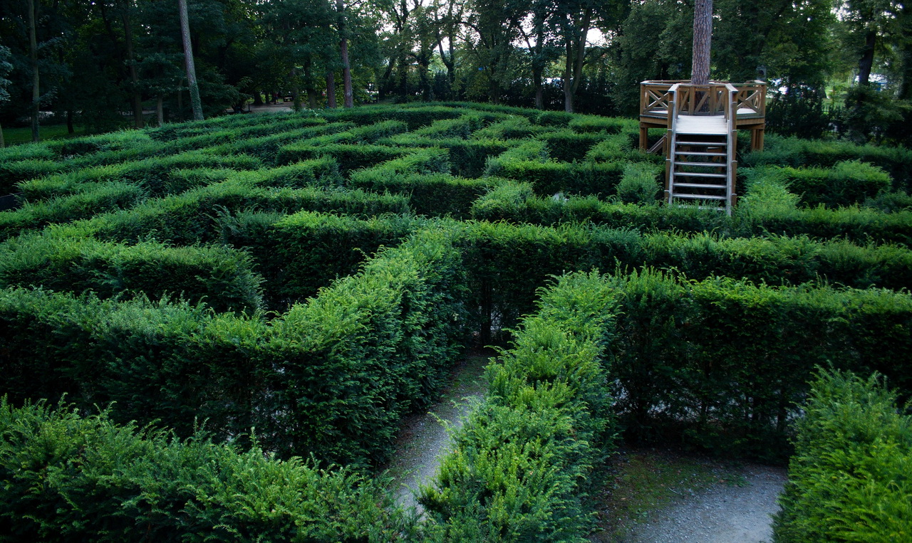 Тисовый лабиринт