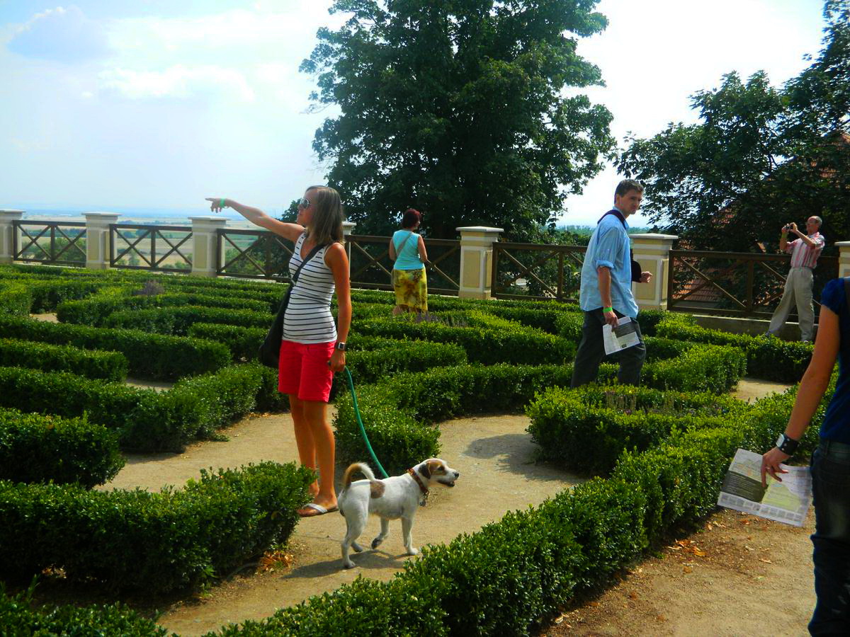 Классический парковый лабиринт