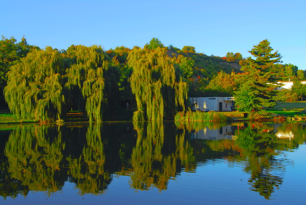 Осень в парке