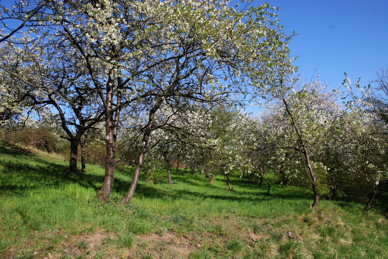Пейзажи очень красивы