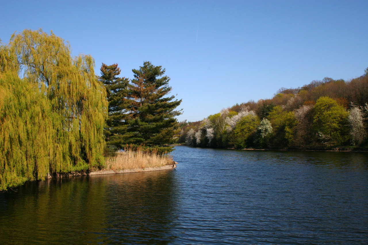 На территории Шарки протекает речка