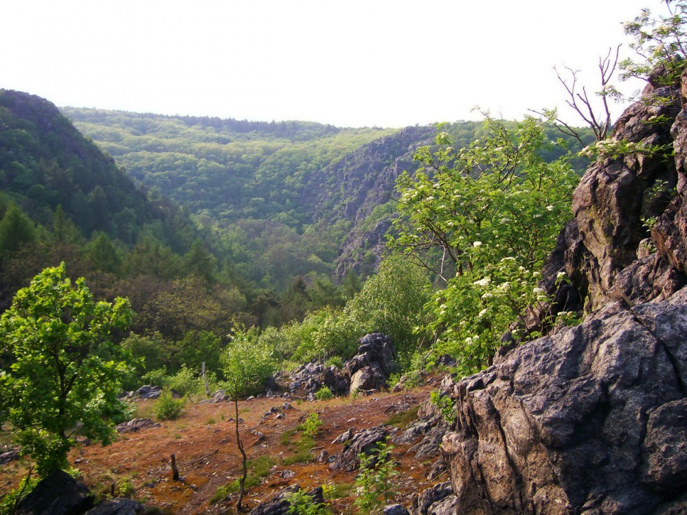 Дивока Шарка - природный парк на северо-западе Праги