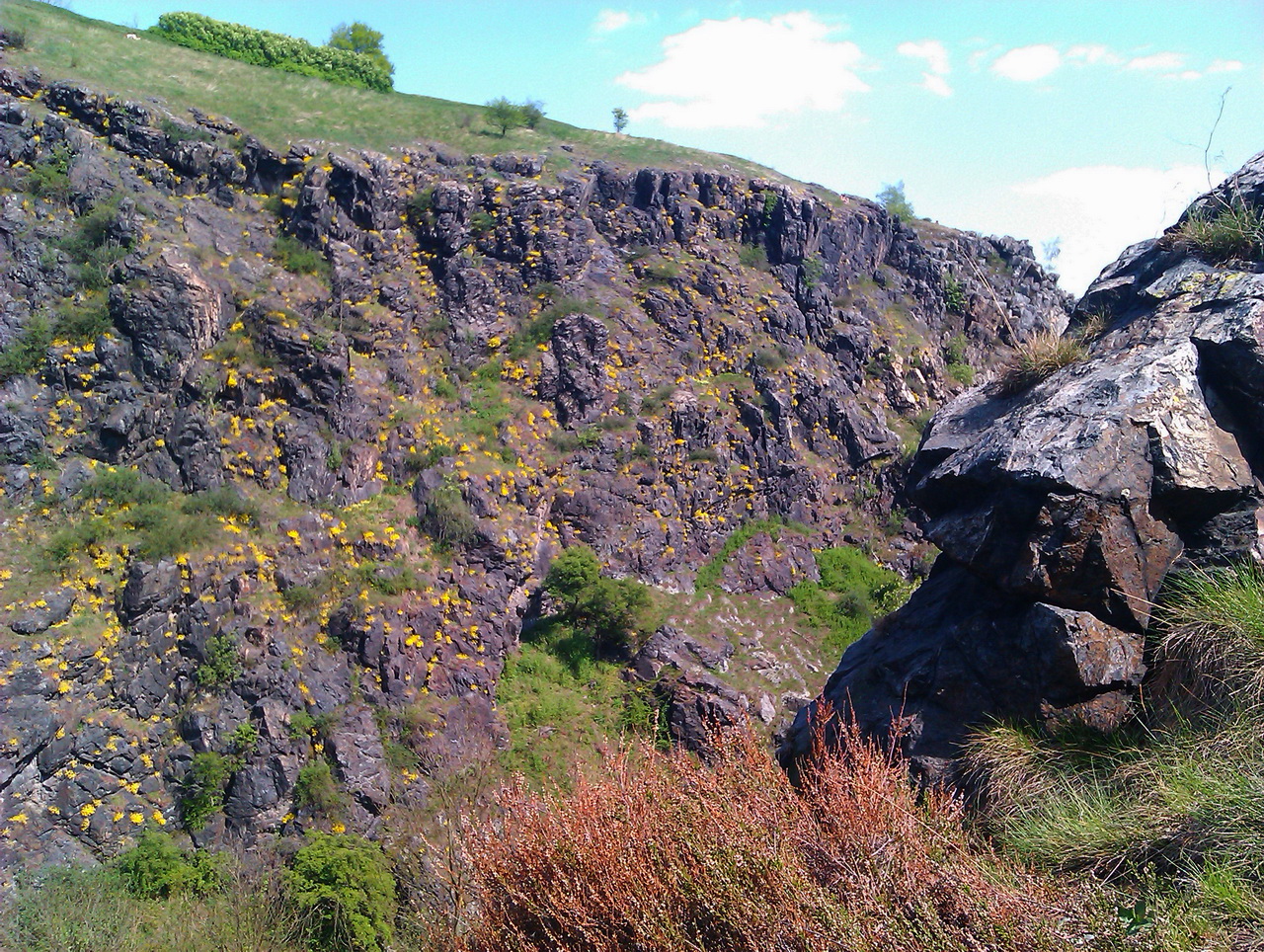 Парк Дивока Шарка