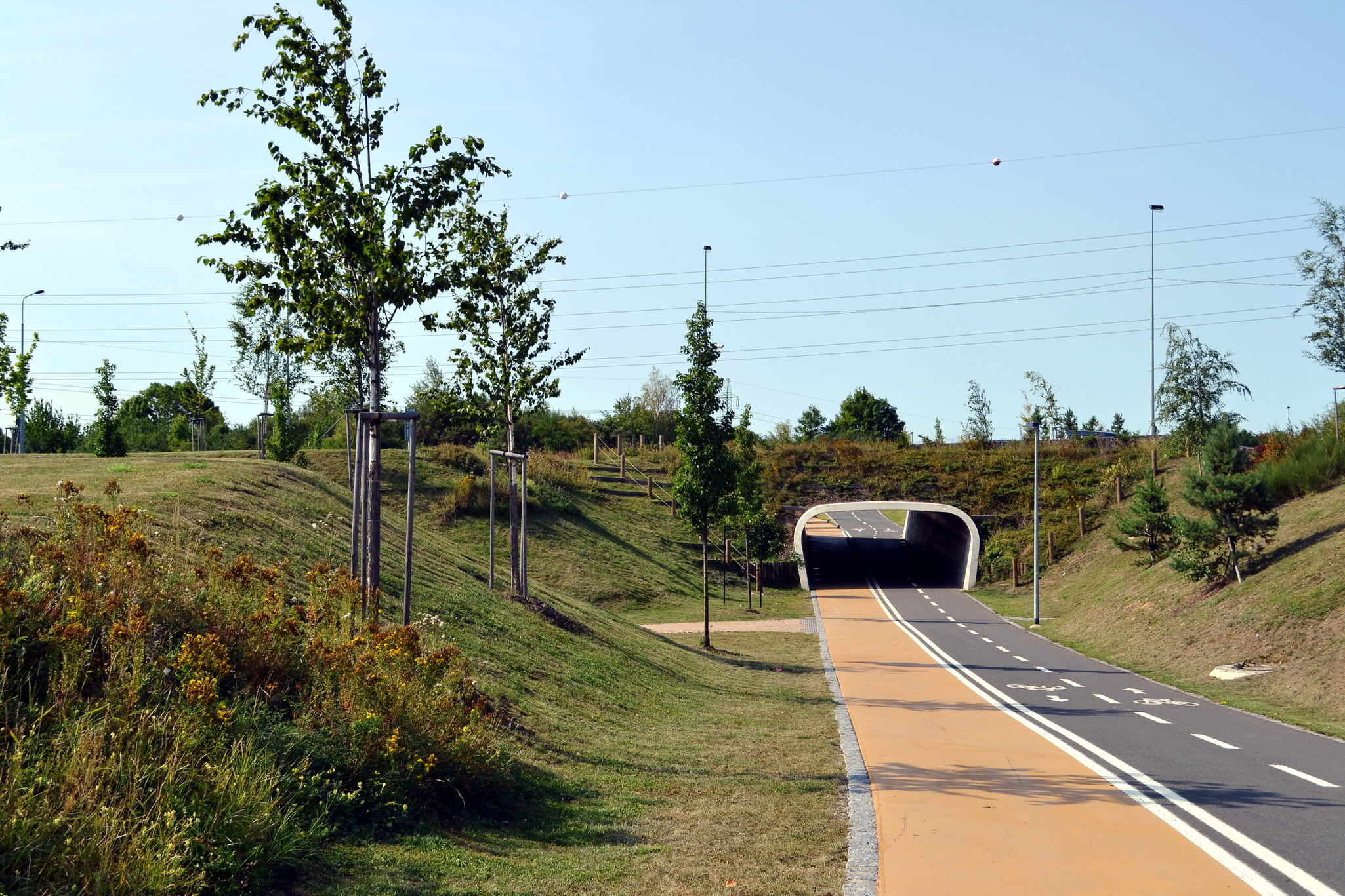 Современное решение спортивных дорожек