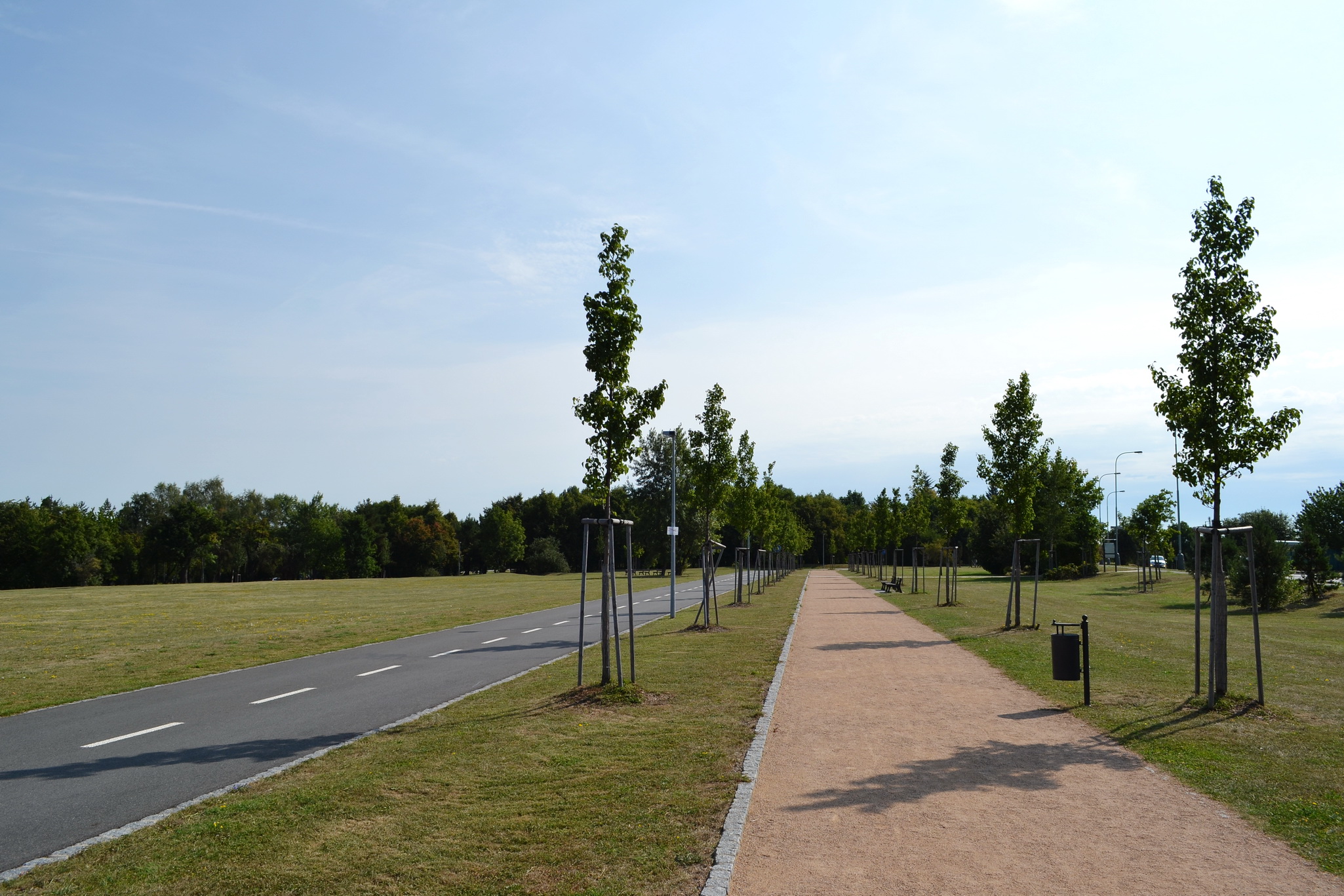 Велосипедные и беговые дорожки