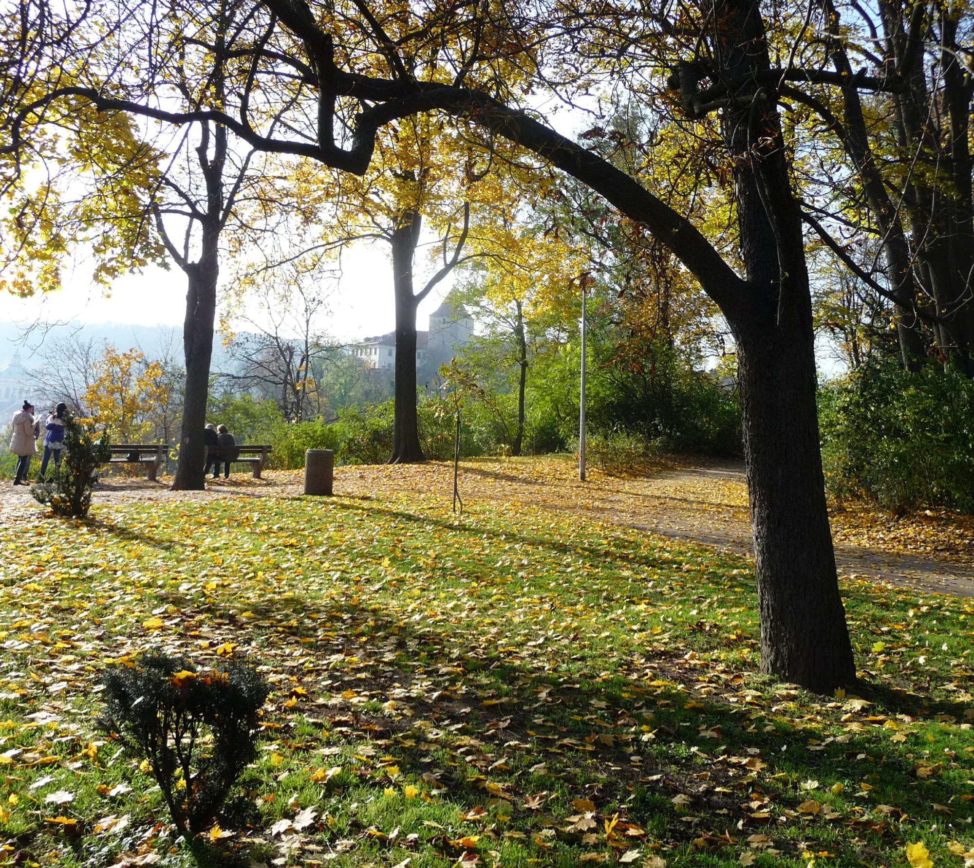 Хотковы сады - оазис спокойствия в большом городе
