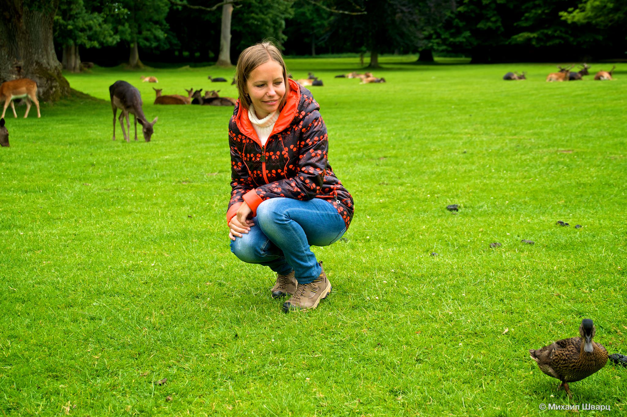 Лена и олени