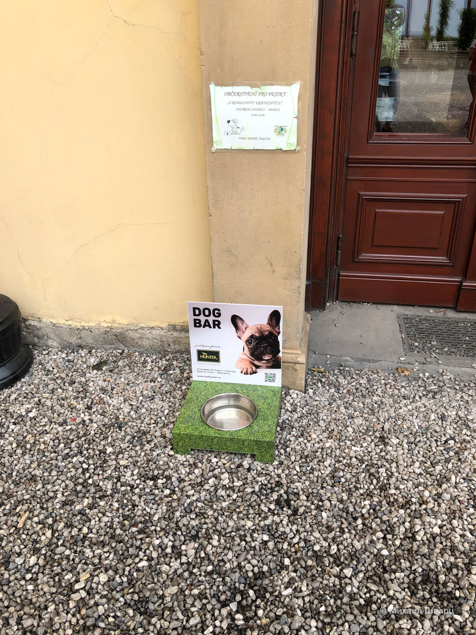 Поилка для собак около ресторана