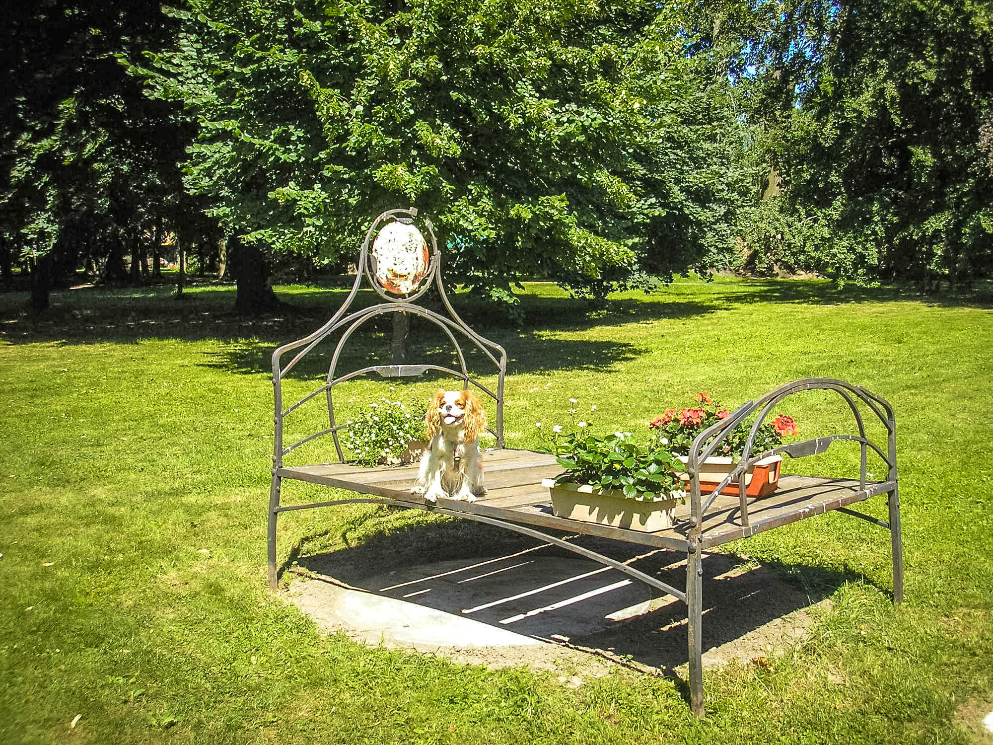 Парковый дизайн