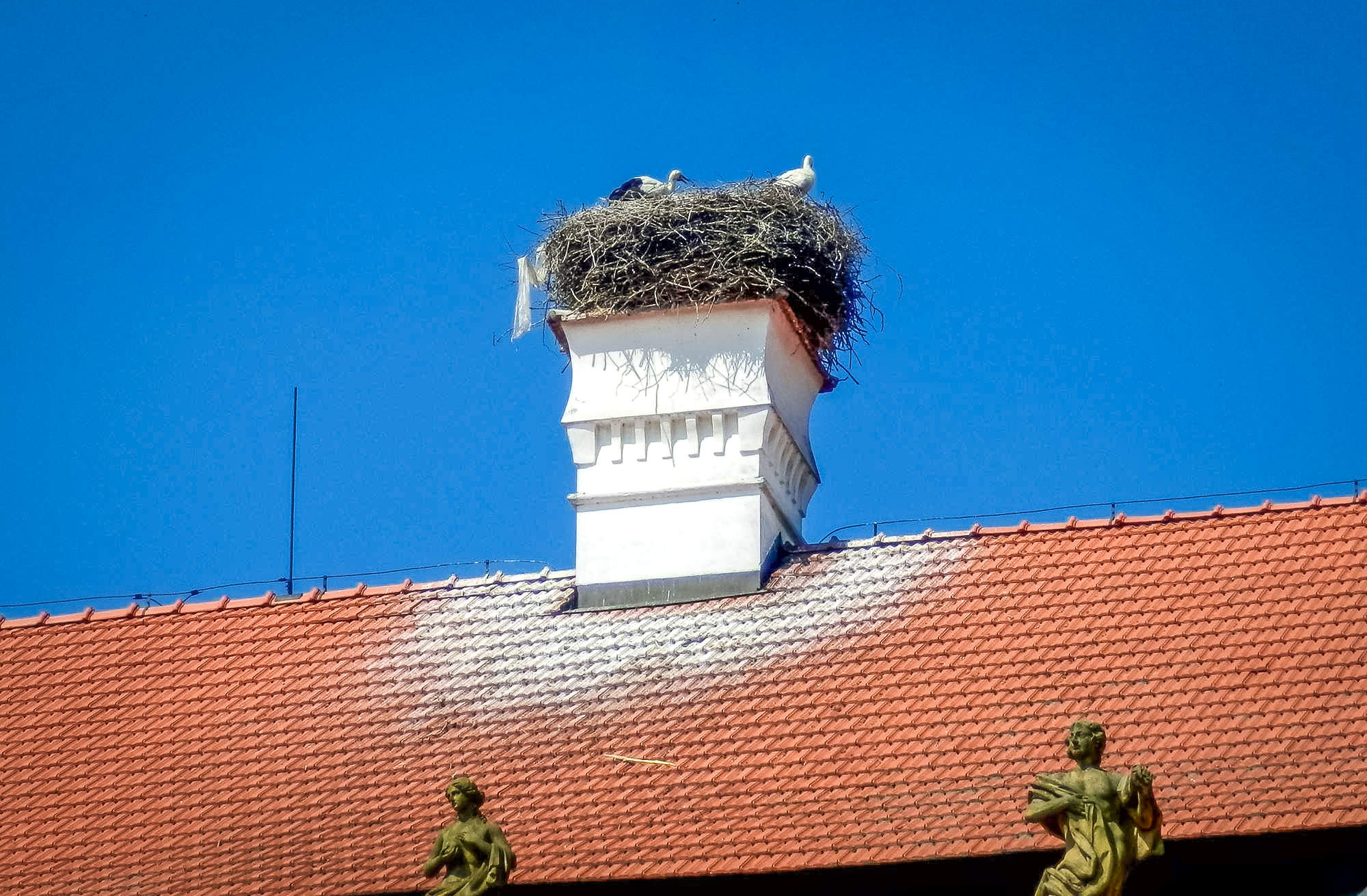 Аисты на крыше замка