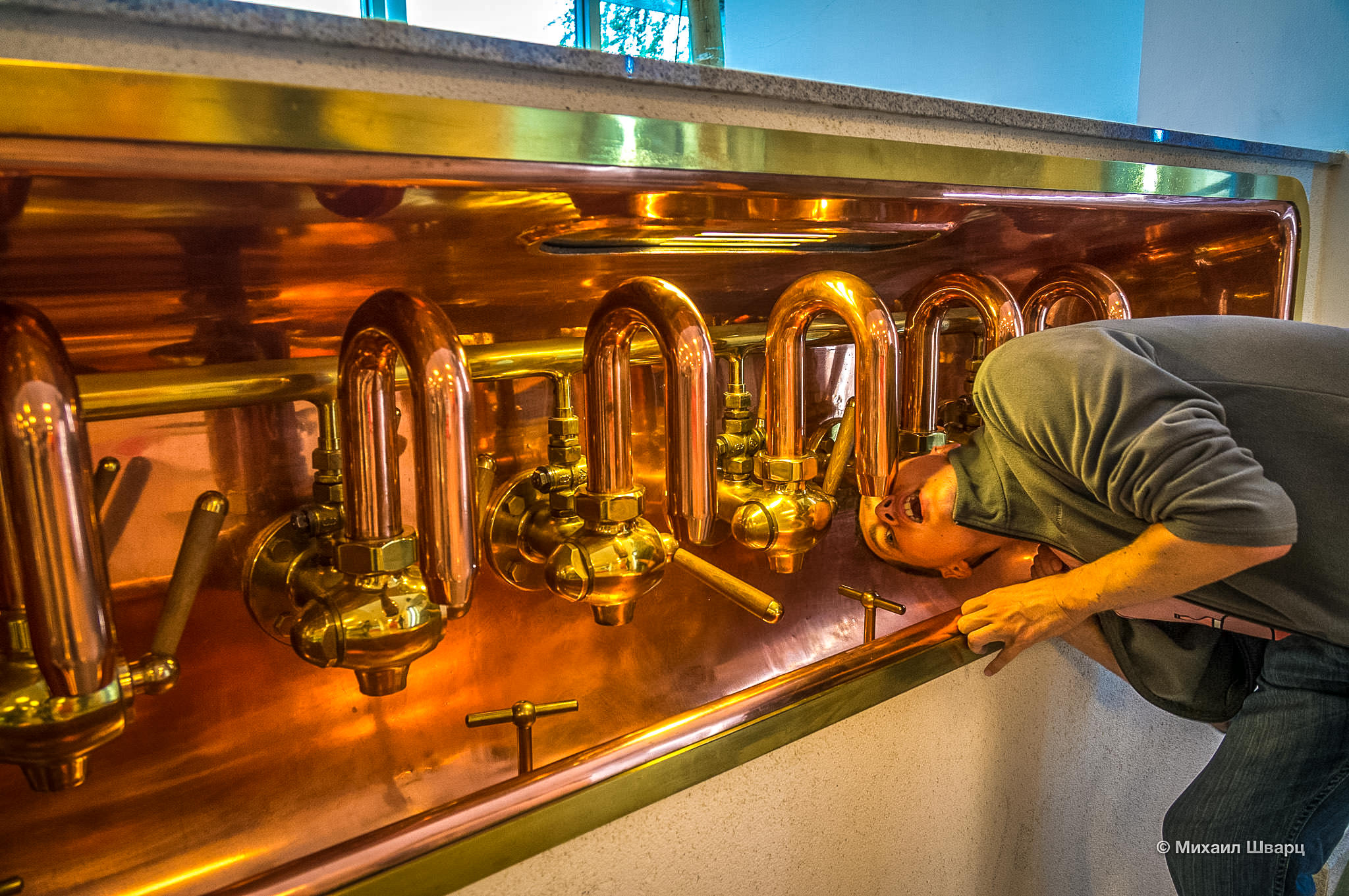 Свеженькое пиво!