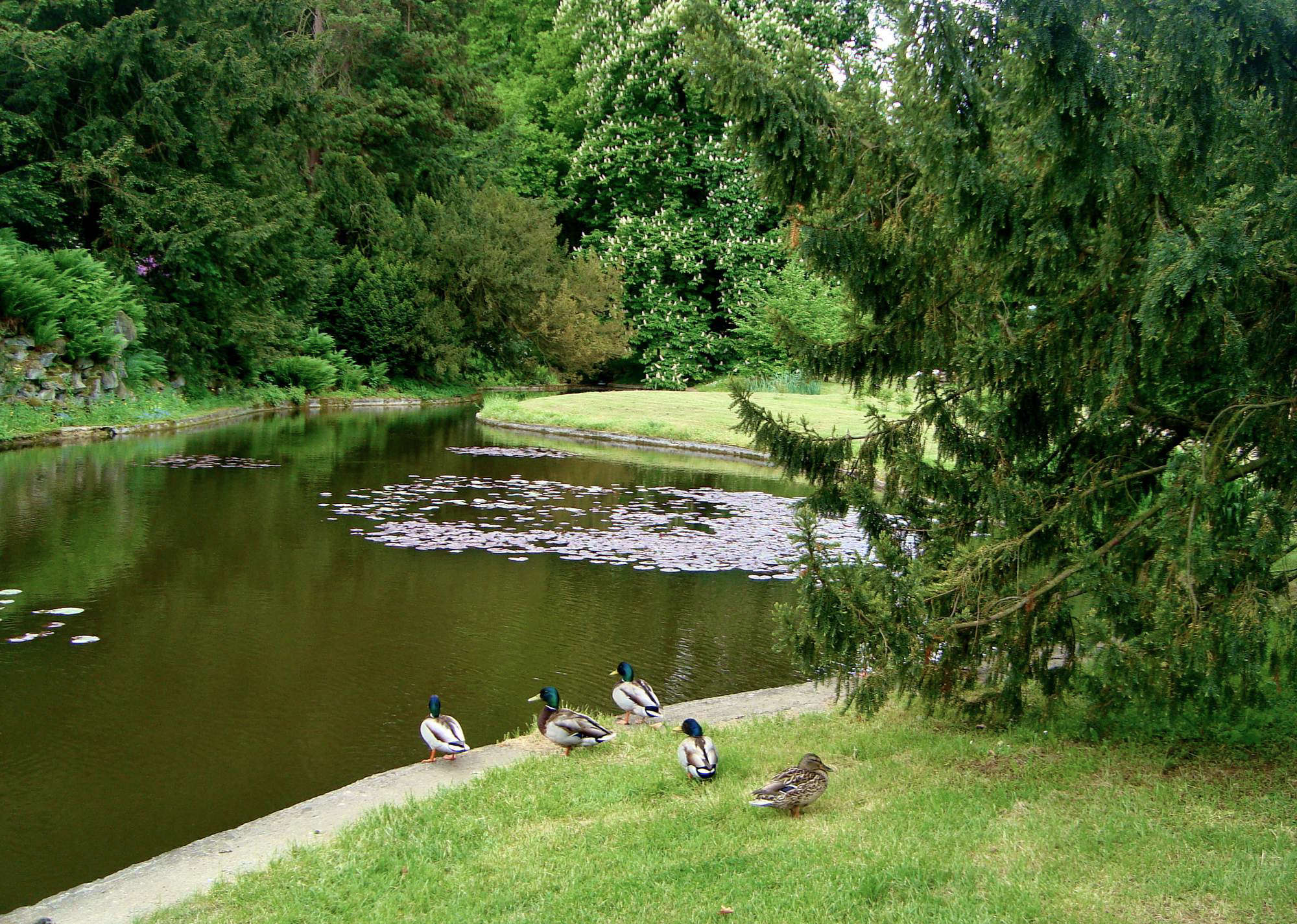 Замковый парк