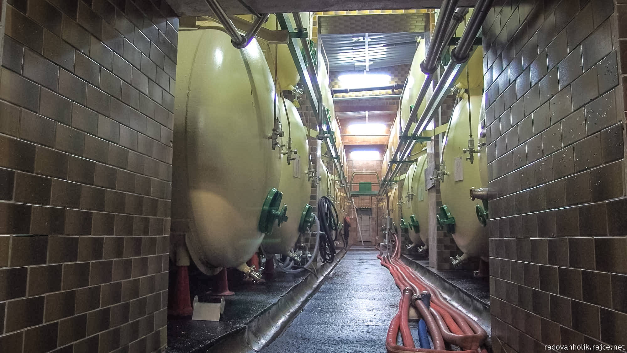 Тут выдерживают пиво