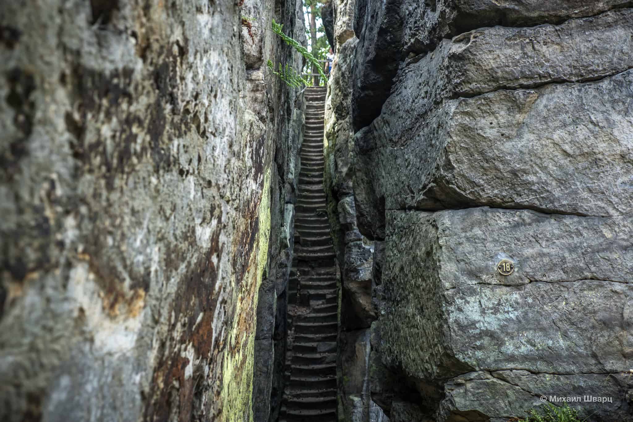 Рыцарская лестница