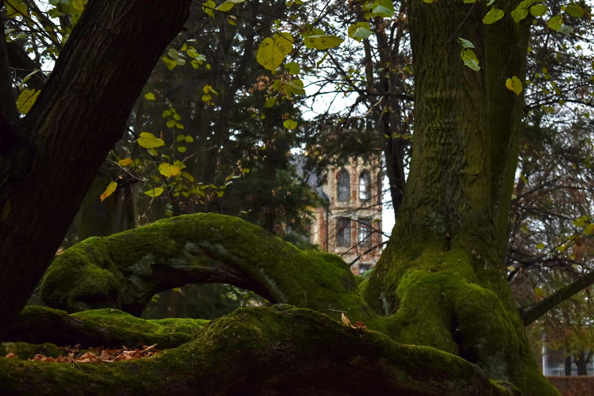 Красивый ракурс